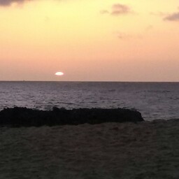 Edward Reese Photo 14