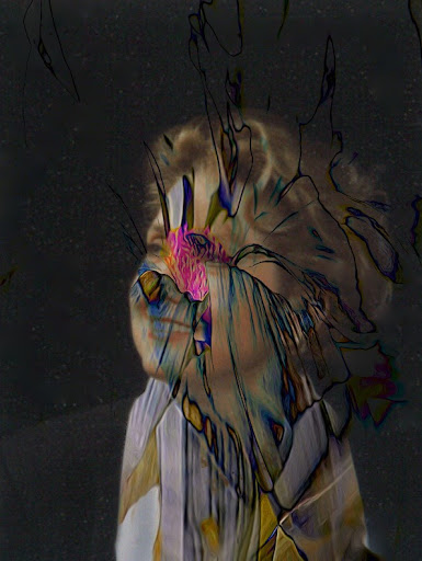 Elizabeth Varga Photo 17