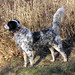 Jill Hunt Photo 39