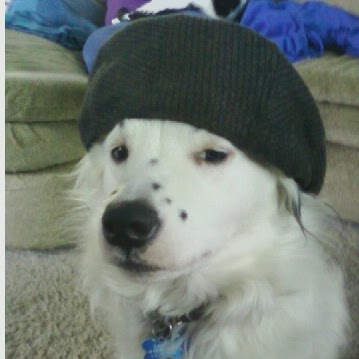 Debbie Henry Photo 23