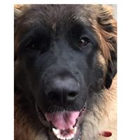 Christina Mcdougall Photo 12