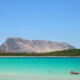 Alan Barton Photo 22