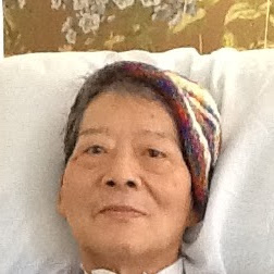 Cheng Lee Photo 35