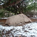 Ronald Wilder Photo 9