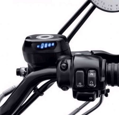 Melissa Coleman Photo 13