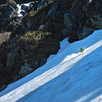 Stephen Harmon Photo 24