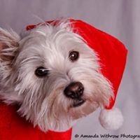 John Withrow Photo 21