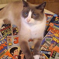 Cindy Kessel Photo 5