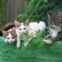 Debra Becker Photo 42