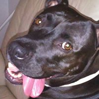 Loren Aguilar Photo 9