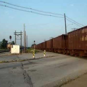 David Schaefer Photo 46