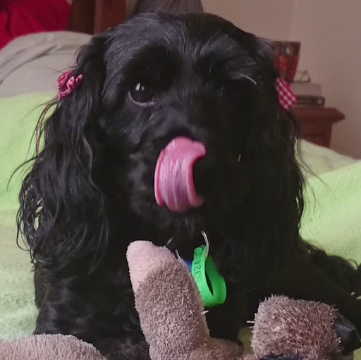 Nathan Vogt Photo 18