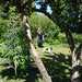 Vicki Sommers Photo 16