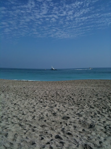 Philip Carroll Photo 30