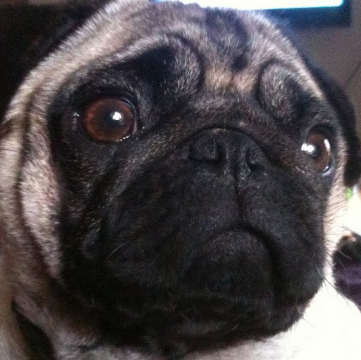 Amanda Oliver Photo 24