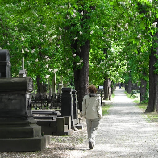 Michael Cutter Photo 16 Michael Cutter Photo 16