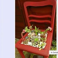 Judith Kruse Photo 16