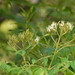 Xiang Liao Photo 26
