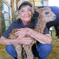 Rebecca Musser Photo 16