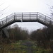 Stephen Bingham Photo 10
