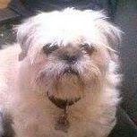 David Michaelson Photo 13