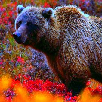 Jordan Mercer Photo 10