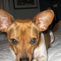 Willis Brown Photo 15