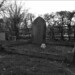 Thomas Moody Photo 38