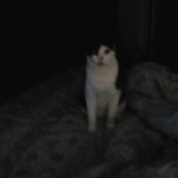 Lisa Whiting Photo 9