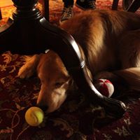 Ruth Humphrey Photo 19