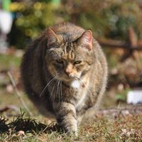 Cherie Norman Photo 4