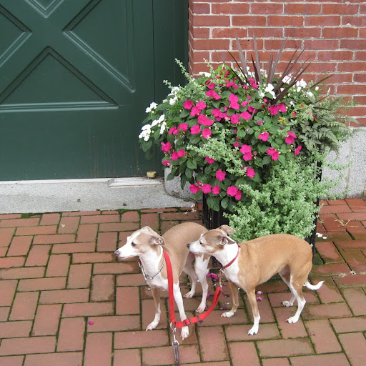 Loretta Sharp Photo 2