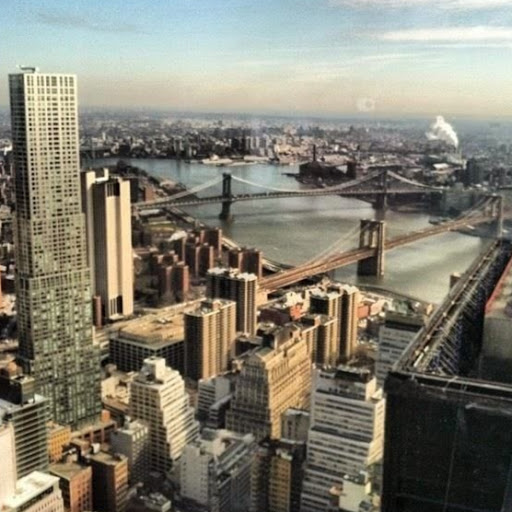 Tracy Steele Photo 18