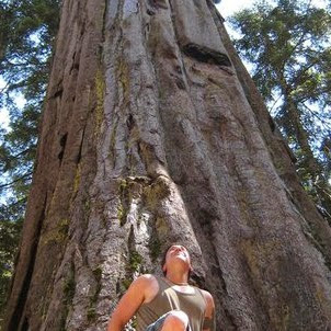 Arthur David Photo 23