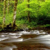 Cheri Richards Photo 34