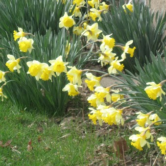 Janice Barnard Photo 29