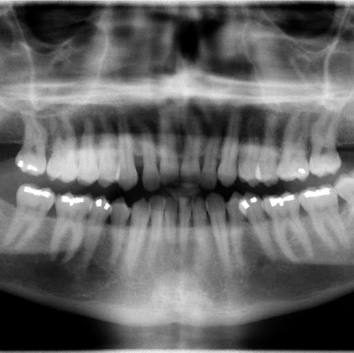 John Wilder Photo 26