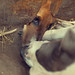 Betty Lay Photo 21