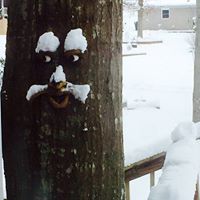 Cathy Waters Photo 36