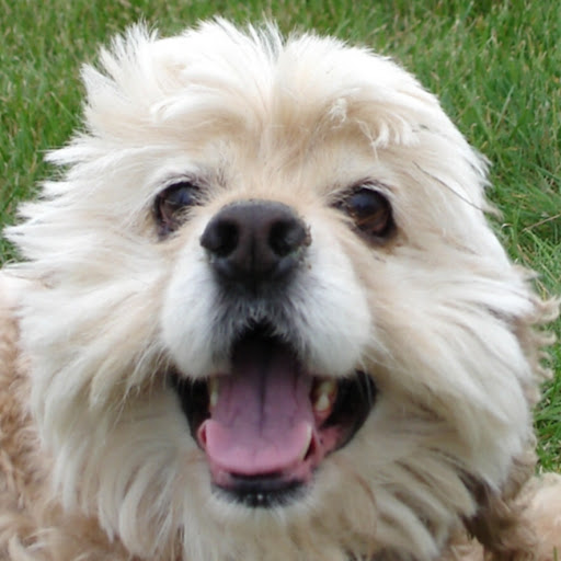 Cathy Roberts Photo 30