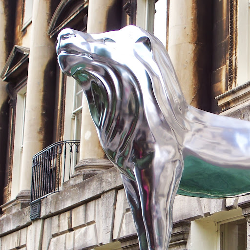 Jonathan Mayfield Photo 5