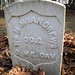 William Mcandrew Photo 7