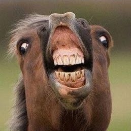 Jack Singleton Photo 7