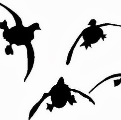 Michael Hawkinson Photo 8