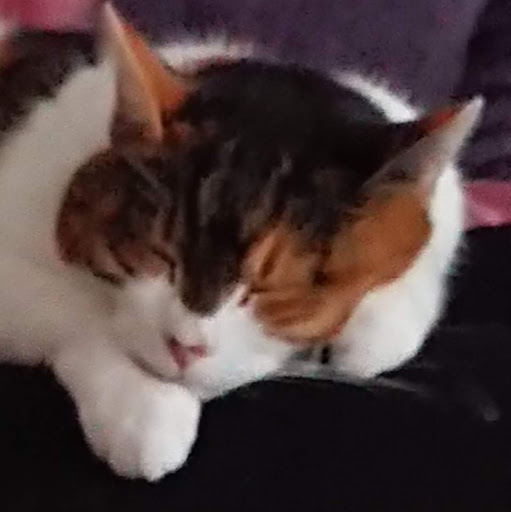 Julie Heath Photo 37