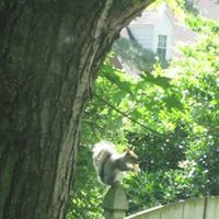 Dorothy Fitzpatrick Photo 13