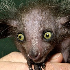 Jenny Gibbs Photo 40