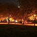David Chadwick Photo 17