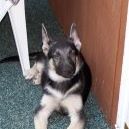 David Gearhart Photo 8