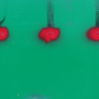 Maxine Evans Photo 21